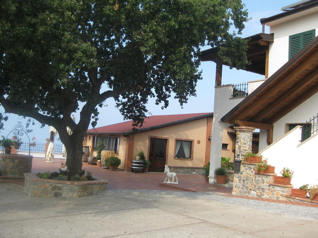Agritursmo Montesalerno Villa Диаманте Екстериор снимка
